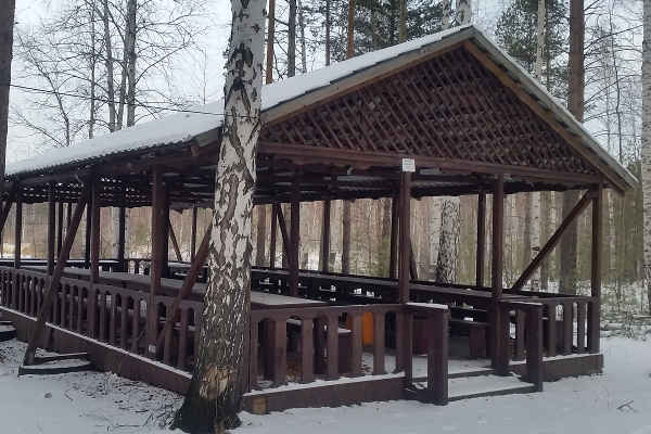 Беседка для корпоратива на новый год с программой